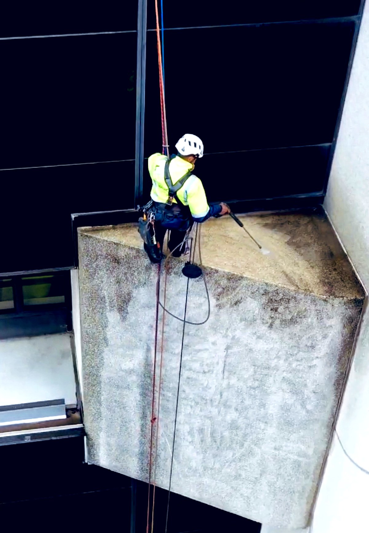 Bird Pest Control & Façade Protection